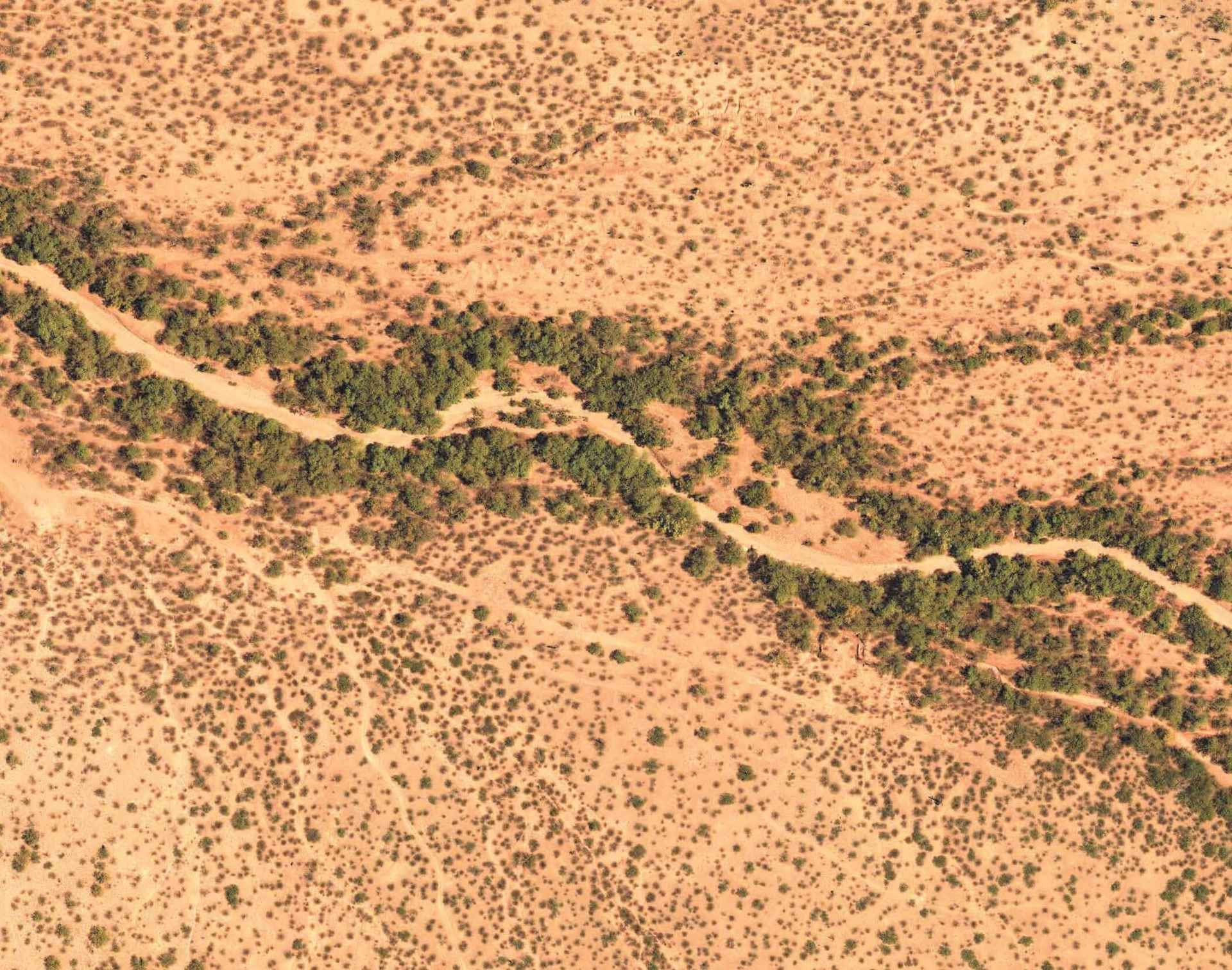 Desert Riparian Area